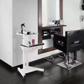 Carrello da salone bianco con ruote, monoutente